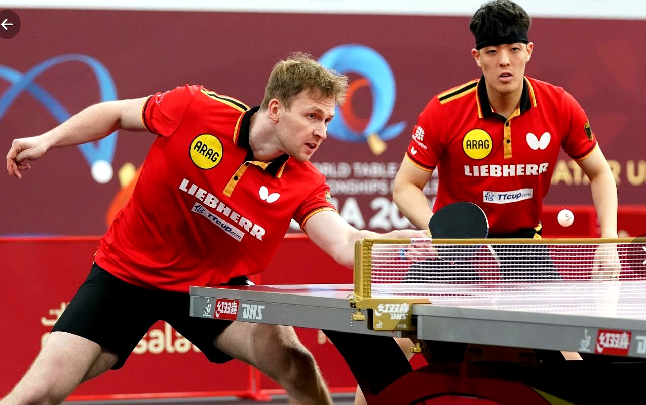 比利时乒乓球队绝地反击波兰乒乓球队，波尔绝境逆转的简单介绍